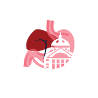 VI Gastro Hepato Manaus